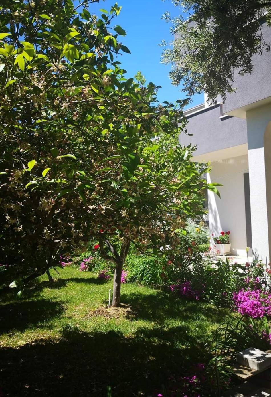 Apartmani Dianna Kaštela Exterior foto